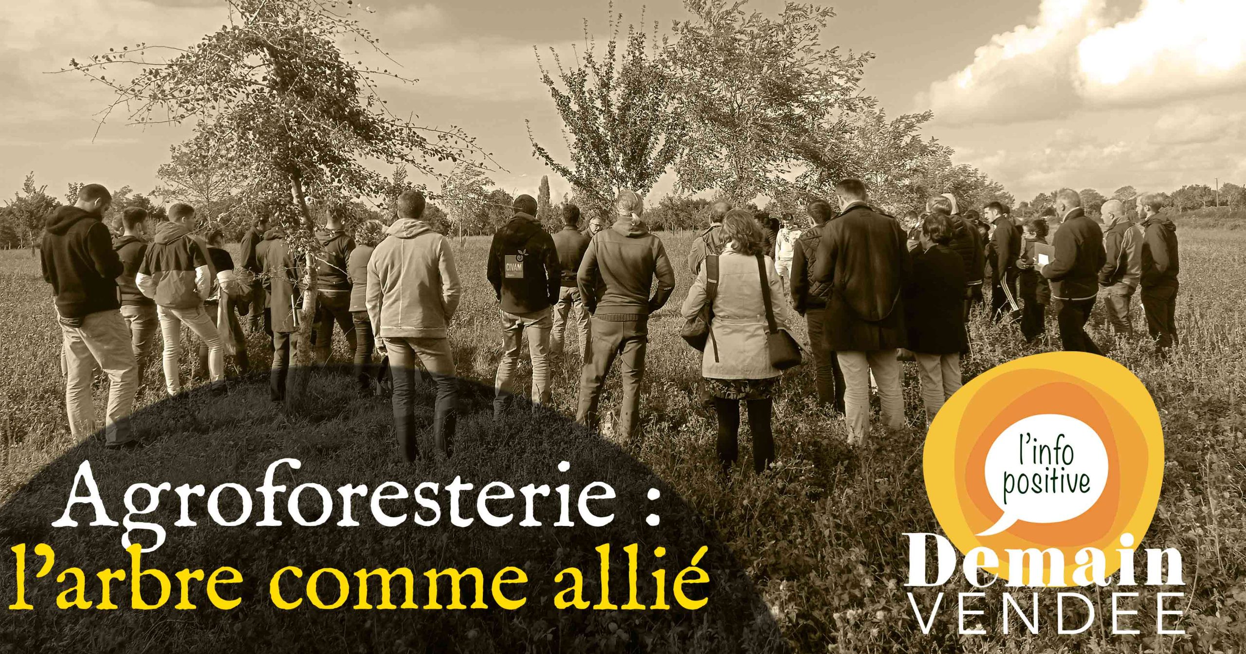 [DOSSIER] Agroforesterie : L'arbre Comme Allié Placé Au Cœur De L ...