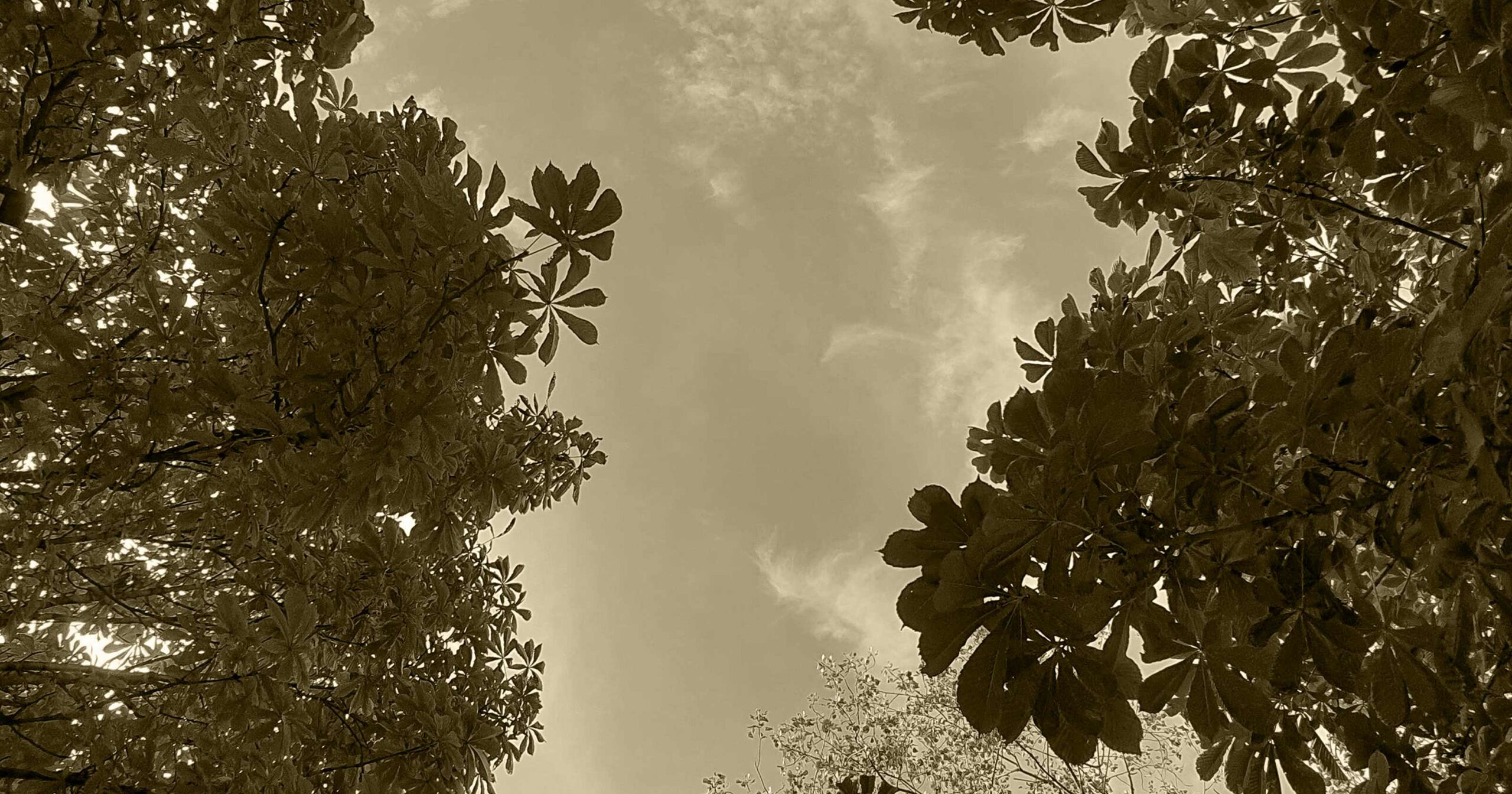 parallax background