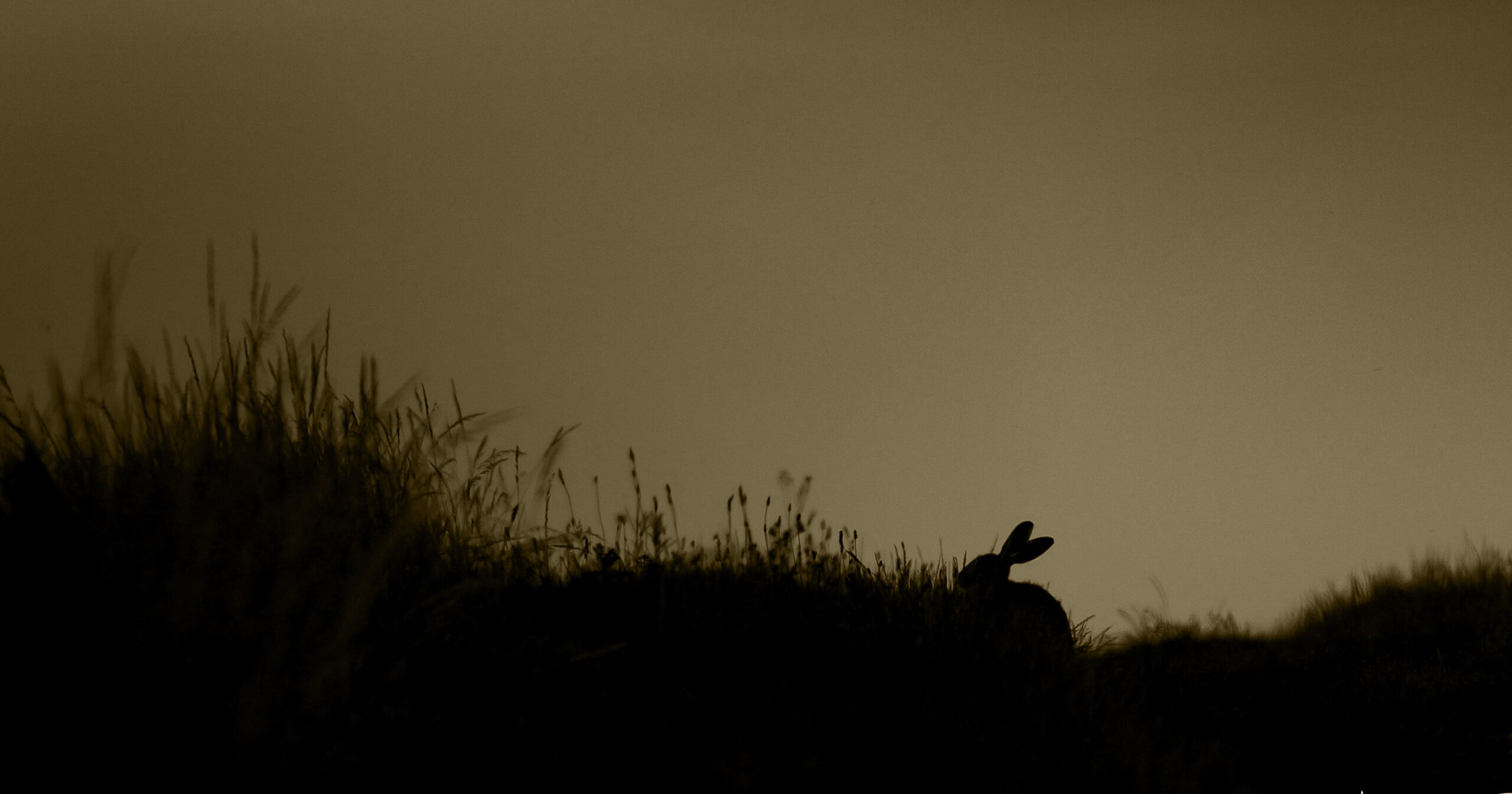 parallax background